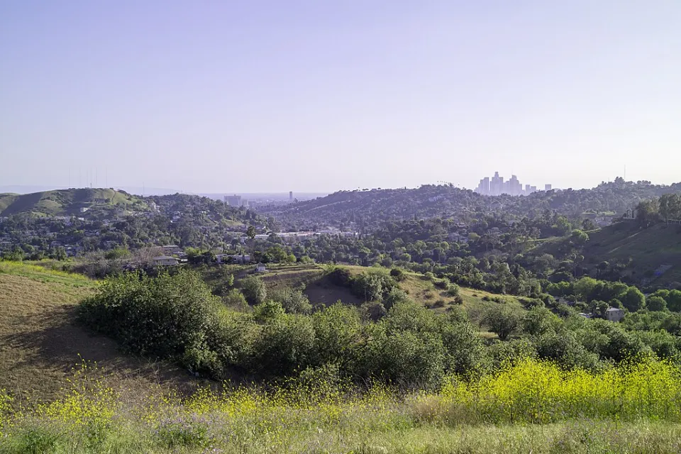 Green rolling hills of Elephant Hill park with blue sky and the Los Angeles skyline on the distant horizon.